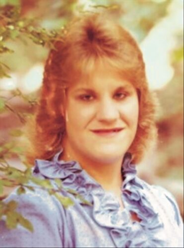 TRACY COOK